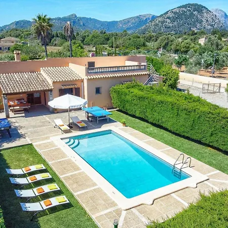 Pinto By Port de Pollenca