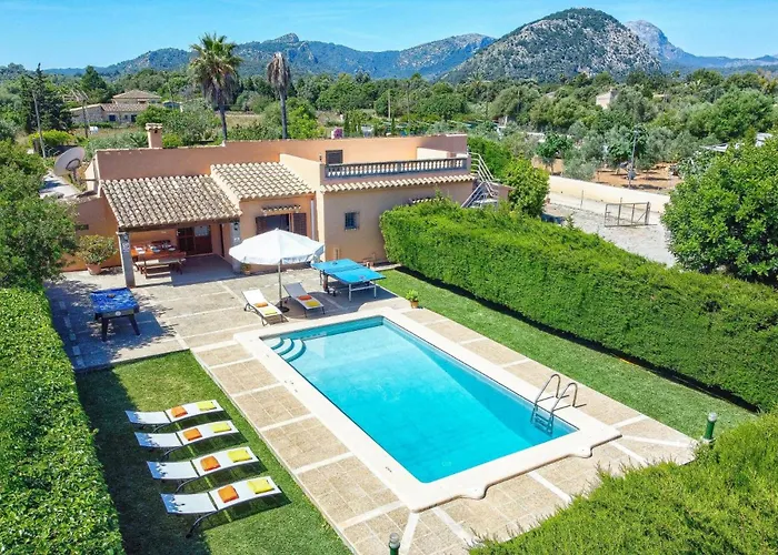 Pinto By Puerto Pollensa